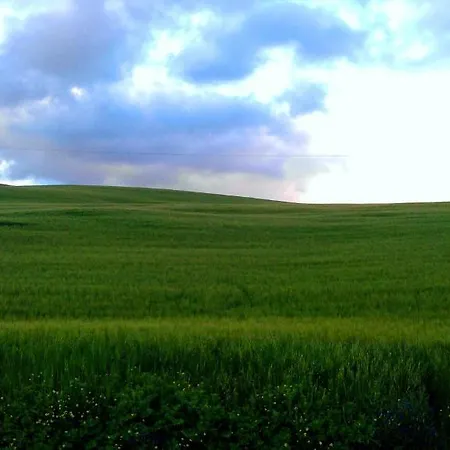 Cabañas Jimera de Líbar * Jimera de Líbar